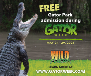 GATOR WEEK Returns to Wild Florida with free Gator Park admission & National Alligator Day Celebrations!