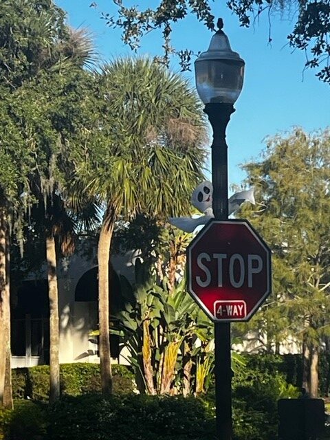 Stop sign decorated with a ghost for Halloween in Winter Garden- our favorite places for Halloween