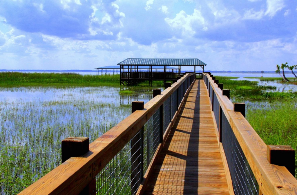 The boardwalk to the airboat dock